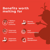 An Image with the title "Benefits worth melting for." for Melts® into Active Probiotic, followed by a list of six benefits with accompanying icons: 7 Billion Active Cultures, Boosts Appetite, Improves Immunity, Anti Inflammatory, Improves Digestion and Boosts Metabolism. In the background, a silhouette of Disney Frozen’s Olaf is present.