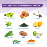 This infographic presents the bioactive ingredients in the all-natural formula, including Indian Gooseberry, Papaya, Lichen, Lemon, Guava, Holy Basil and more, working synergistically to create Melts® into Multivitamins.