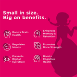 An Image with the title "Small in size. Big on benefits." for Melts® into Disney Vital Omega, followed by a list of six benefits with accompanying icons: Boosts Brain Health, Regulates Moods, Prevents Digital Eye Strain, Enhances Memory & Retention, Promotes Bone Strength, Boosts Cognitive Health. In the background, a silhouette of Disney Frozen’s Anna is present.