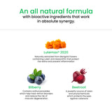 This infographic presents the bioactive ingredients in the all-natural formula, including Lutemax 2020, Bilberry and Beetroot working synergistically to create Melts® into Testo Power.