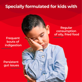 An image indicating that Melts® into Active Probiotic addresses problems stemming from "Regular consumption of oily, fried food", "Frequent bouts of indigestion", and "Persistent gut issues."