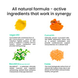 An informative image, showcasing the all natural formula consisting of four ingredients: Vegan B12 (yellow powder), Curcumin (orange powder), BacoMind (Bacopa Monnieri - white flowers and green leaves) and, Folate (orange powder) along with brief descriptions of their individual benefits.